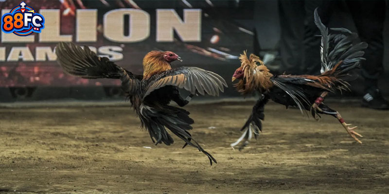 Sự biến động mang đến cơ hội khổng lồ